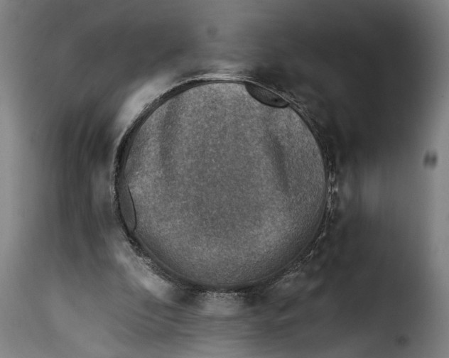 X0000115230296200911201604