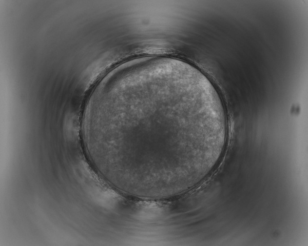 X0000115230297200911201604