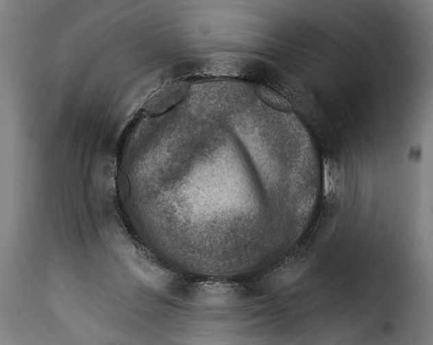 X0000115230300200911201604