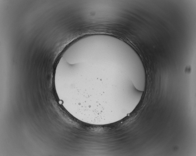 X0000115230301200911201603