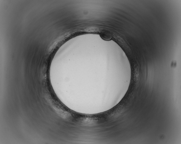 X0000115230303200911201603