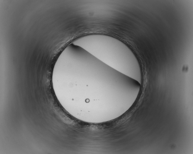 X0000115230305200911201603