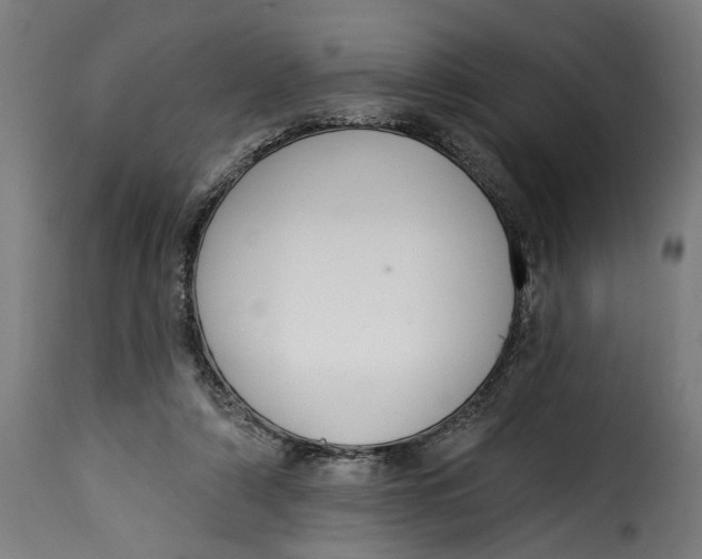 X0000115230306200911201603