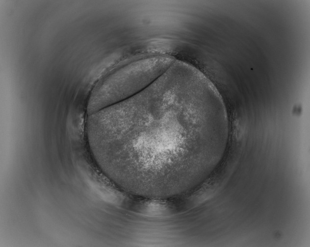 X0000115230308200911201603