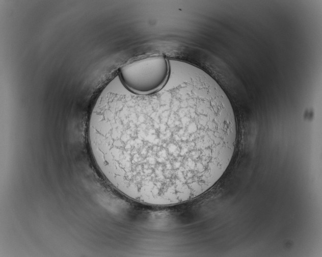 X0000115230309200911201603