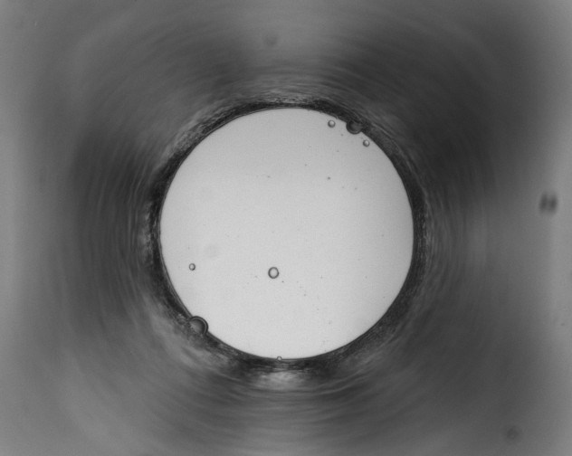 X0000115230312200911201603