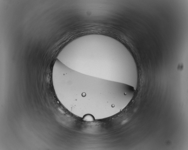 X0000115230313200911201603