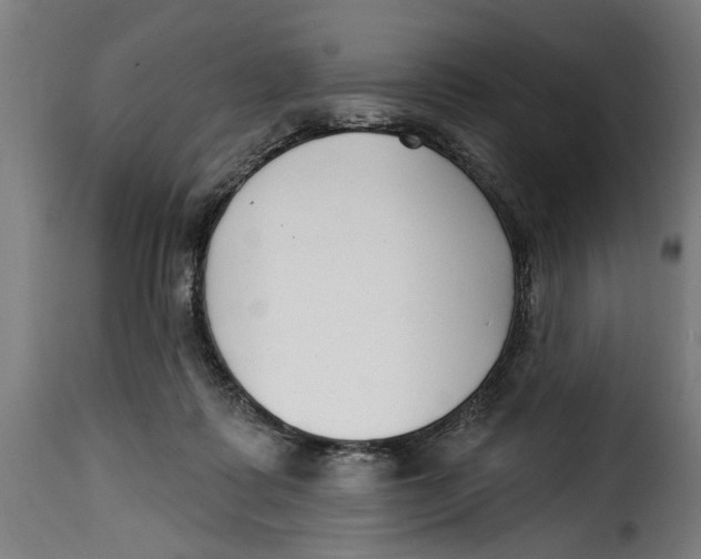 X0000115230315200911201603