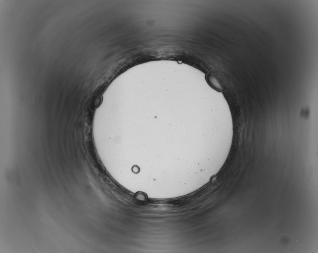 X0000115230316200911201603