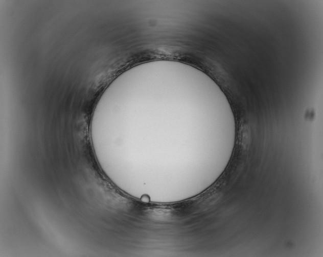 X0000115230318200911201603