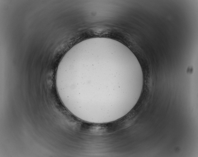 X0000115230319200911201603