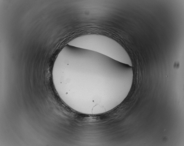 X0000115230320200911201603