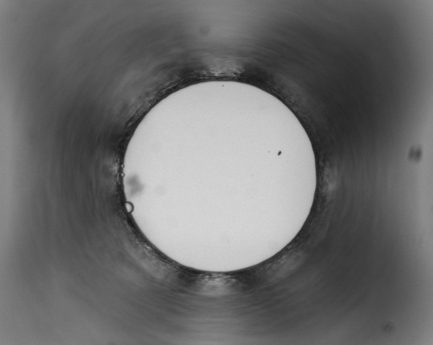 X0000115230321200911201603