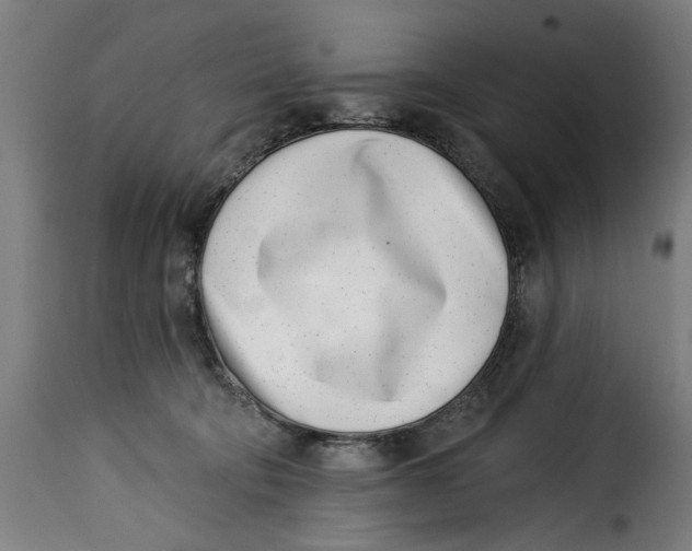 X0000115230322200911201603