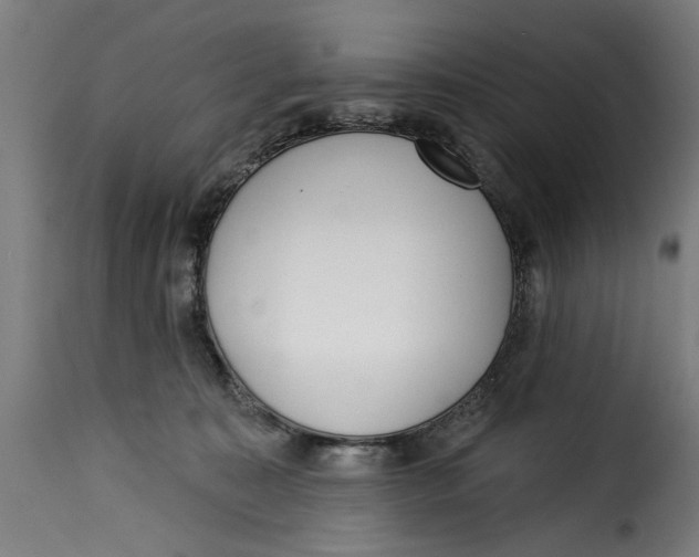 X0000115230323200911201603