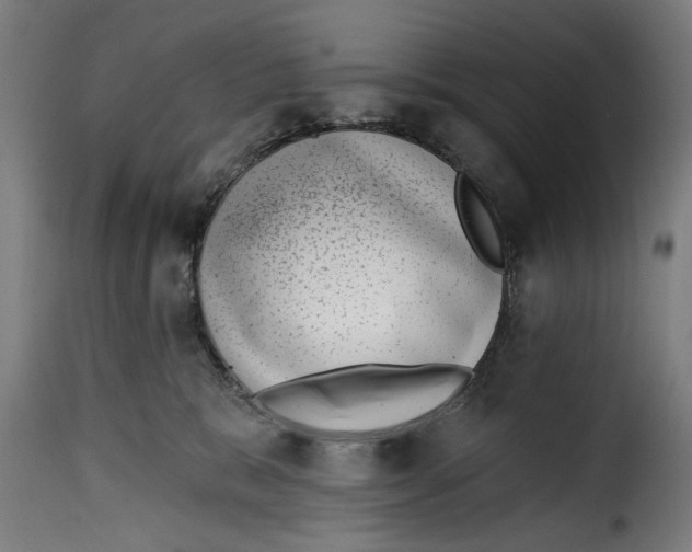 X0000115230327200911201603