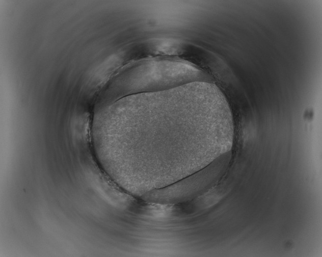 X0000115230328200911201603