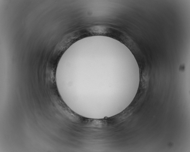 X0000115230330200911201603