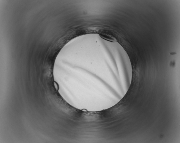 X0000115230331200911201603