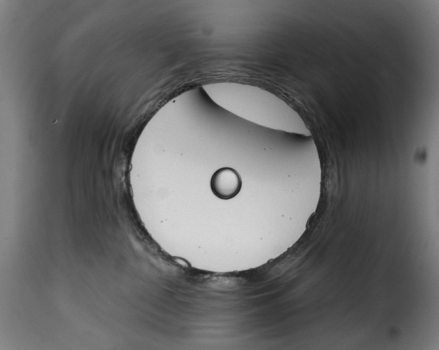 X0000115230332200911201603