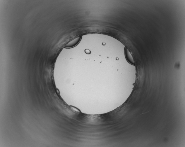 X0000115230333200911201603