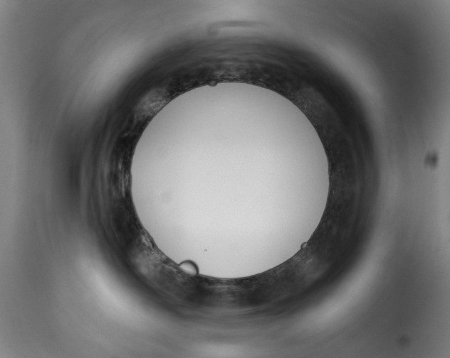 X0000115230334200911201603