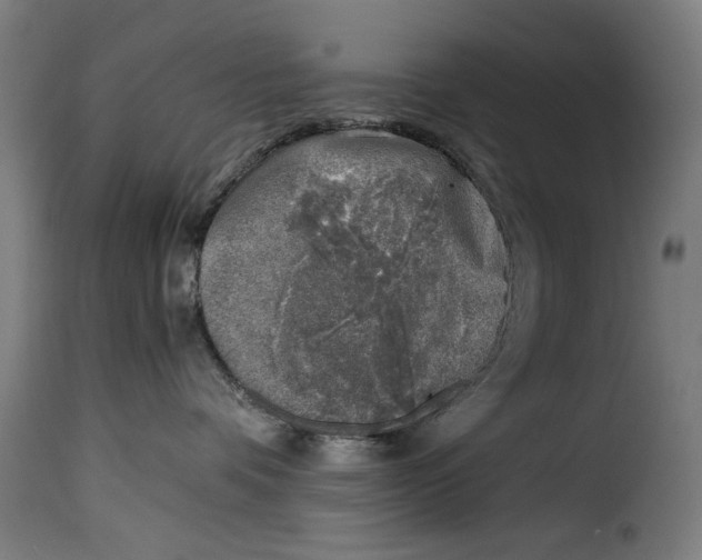 X0000115230336200911201603