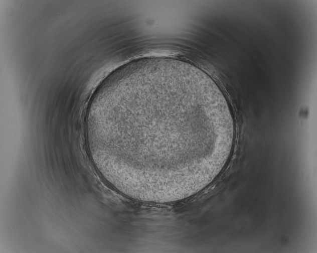 X0000115230337200911201602