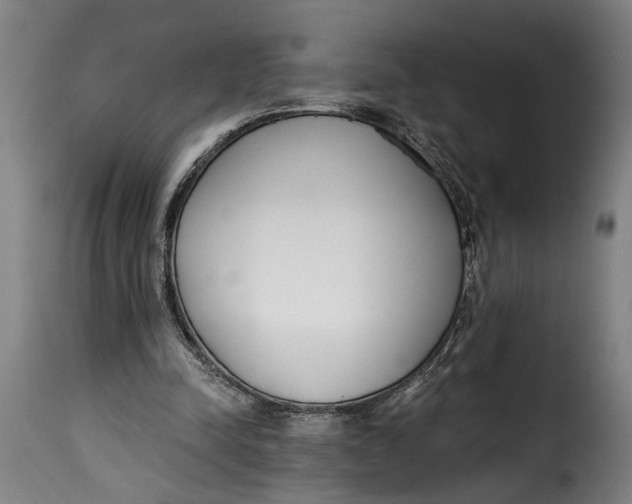 X0000115230342200911201602