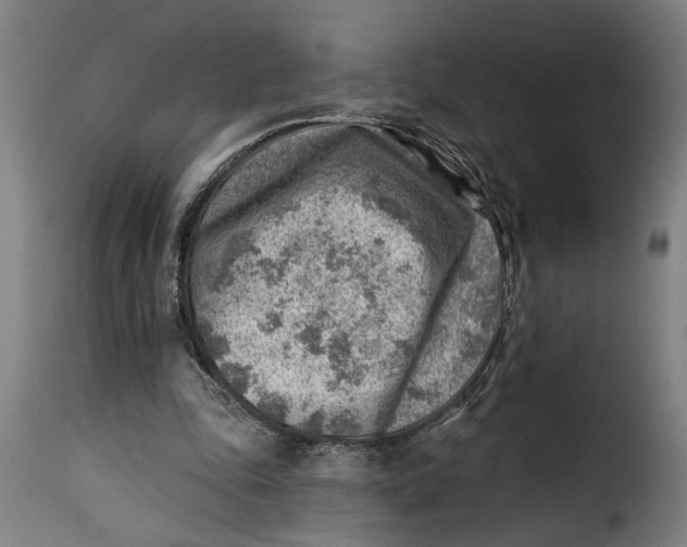 X0000115230343200911201602