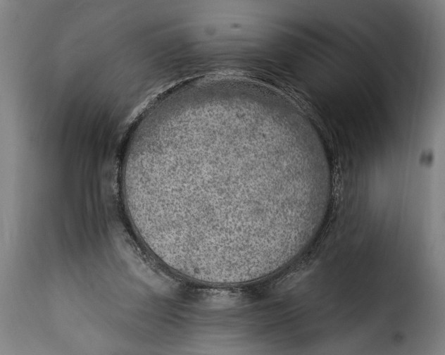 X0000115230347200911201602