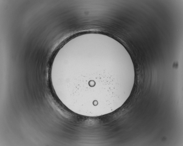 X0000115230350200911201602