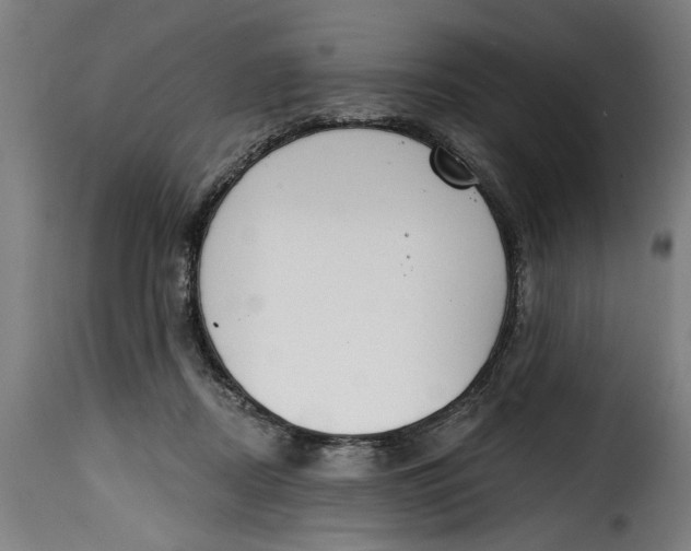 X0000115230362200911201603