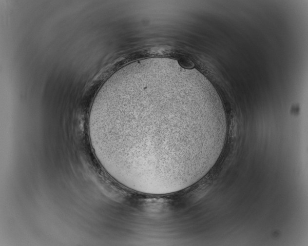 X0000115230363200911201603