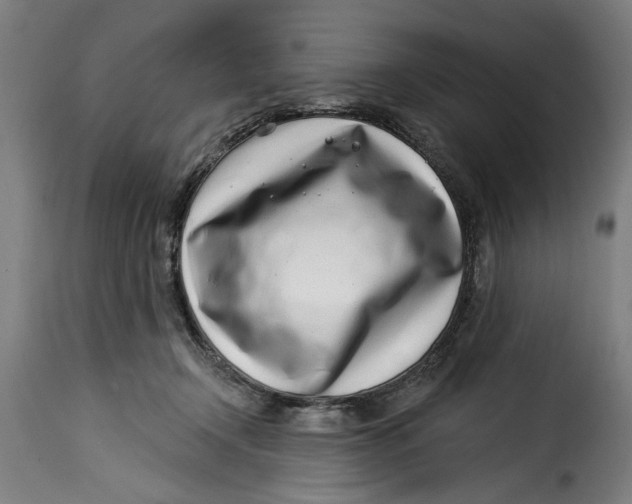 X0000115230366200911201603