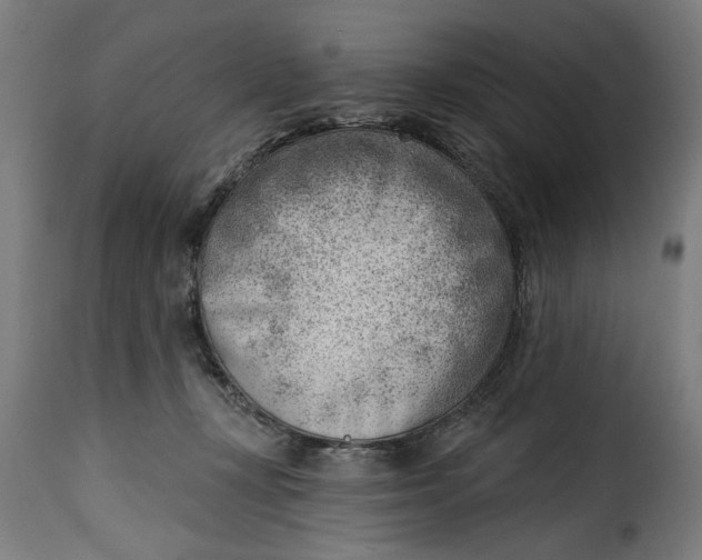 X0000115230367200911201603