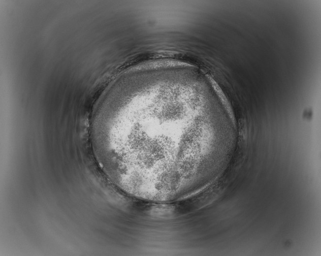 X0000115230369200911201603