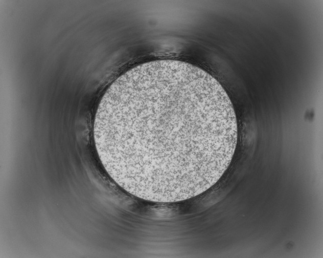 X0000115230370200911201603