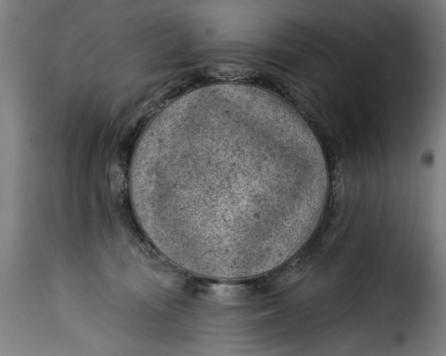 X0000115230371200911201603