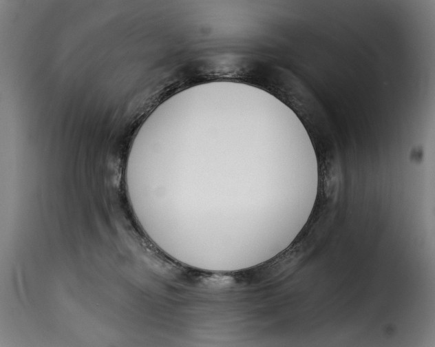 X0000115230374200911201603