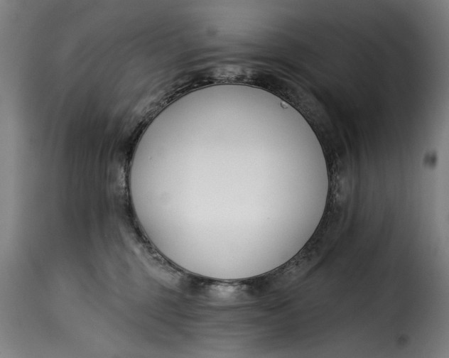 X0000115230375200911201603