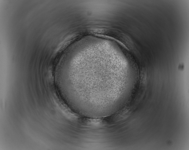 X0000115230377200911201603