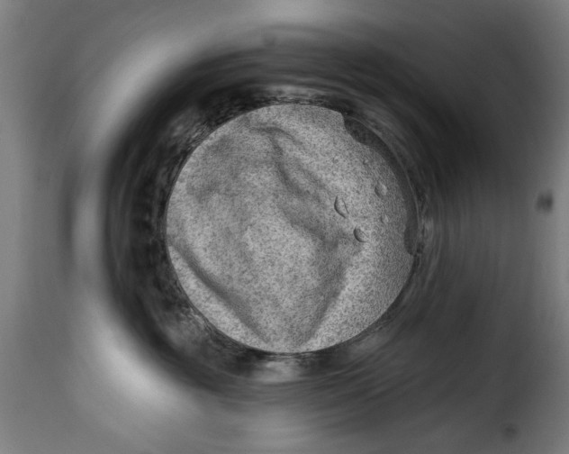 X0000115230381200911201603