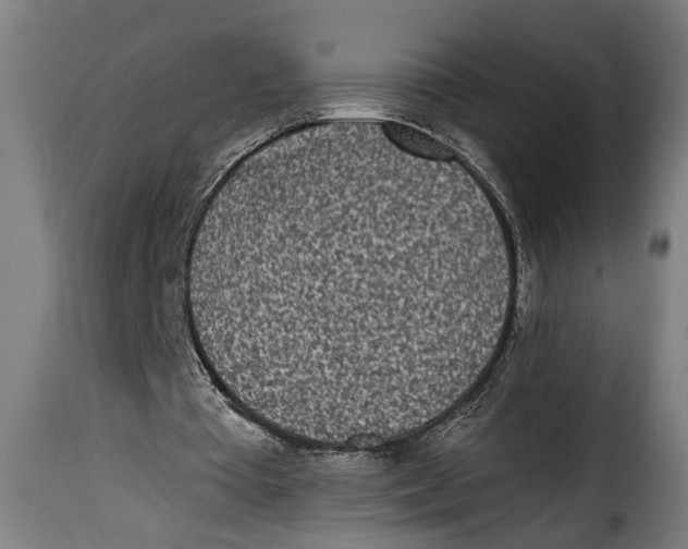 X0000115230385200911201602