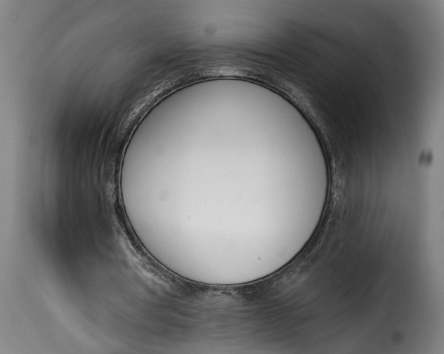 X0000115230386200911201602