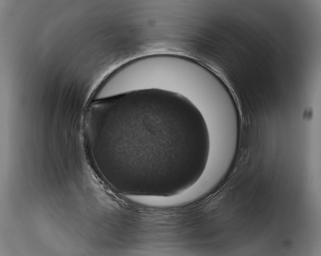 X0000115230387200911201602