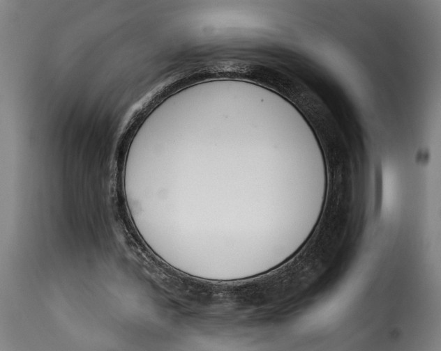 X0000115230388200911201602