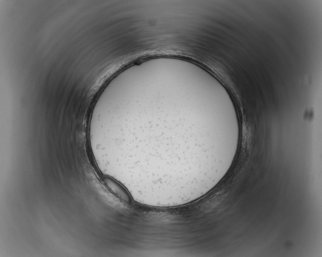 X0000115230389200911201602