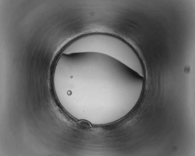 X0000115230391200911201602