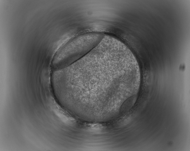 X0000115230395200911201602